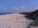 IMG_0868.jpg