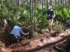 Filename=longleaf-1-8-09-1000a.jpg
Filesize=177KiB
Dimensions=800x600
Date added=Jan 09, 2009 longleaf-1-8-09-1000a.jpg