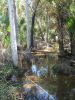 Filename=Seminole_State_Forest_031.jpg
Filesize=148KiB
Dimensions=600x800
Date added=Nov 01, 2008 Seminole_State_Forest_031.jpg