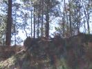 Filename=rd11.JPG
Filesize=86KiB
Dimensions=640x480
Date added=Feb 19, 2007 rd11.JPG