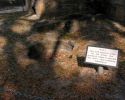 Filename=2204.jpg
Filesize=42KiB
Dimensions=450x360
Date added=Jul 13, 2004 2204.jpg