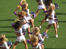 Filename=ravens-steelers-06-051.JPG
Filesize=72KiB
Dimensions=640x480
Date added=Nov 27, 2006 ravens-steelers-06-051.JPG