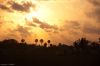 Filename=glades-1014.jpg
Filesize=40KiB
Dimensions=800x535
Date added=Apr 11, 2009 glades-1014.jpg