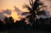 Filename=glades-1018.jpg
Filesize=67KiB
Dimensions=800x535
Date added=Apr 11, 2009 glades-1018.jpg