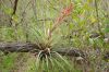 Filename=glades-1025.jpg
Filesize=130KiB
Dimensions=800x535
Date added=Apr 11, 2009 glades-1025.jpg