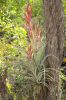 Filename=glades-1028.jpg
Filesize=115KiB
Dimensions=535x800
Date added=Apr 11, 2009 glades-1028.jpg
