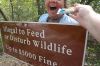 Filename=glades-1031.jpg
Filesize=87KiB
Dimensions=800x535
Date added=Apr 11, 2009 glades-1031.jpg