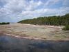 Filename=glades-1033.jpg
Filesize=73KiB
Dimensions=800x600
Date added=Apr 11, 2009 glades-1033.jpg