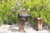 Filename=glades-1034.jpg
Filesize=150KiB
Dimensions=800x535
Date added=Apr 11, 2009 glades-1034.jpg