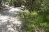 Filename=glades-1036.jpg
Filesize=140KiB
Dimensions=800x535
Date added=Apr 11, 2009 glades-1036.jpg