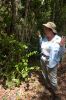 Filename=glades-1038.jpg
Filesize=123KiB
Dimensions=535x800
Date added=Apr 11, 2009 glades-1038.jpg