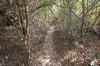 Filename=glades-1043.jpg
Filesize=158KiB
Dimensions=800x535
Date added=Apr 11, 2009 glades-1043.jpg