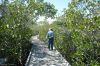 Filename=glades-1052.jpg
Filesize=169KiB
Dimensions=800x535
Date added=Apr 11, 2009 glades-1052.jpg