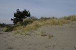 Filename=100ND100-0041_DSC.jpg
Filesize=24KiB
Dimensions=602x400
Date added=Jul 19, 2004 100ND100-0041_DSC.jpg
